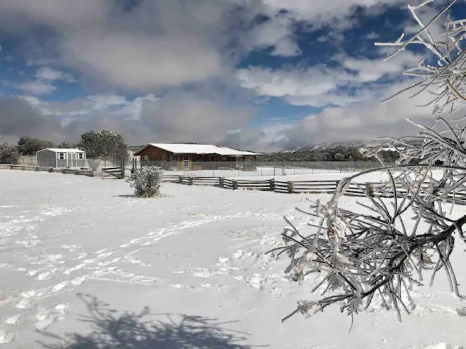 Cottonwood Creek Cabins - Alpine, Tx Exteriér fotografie